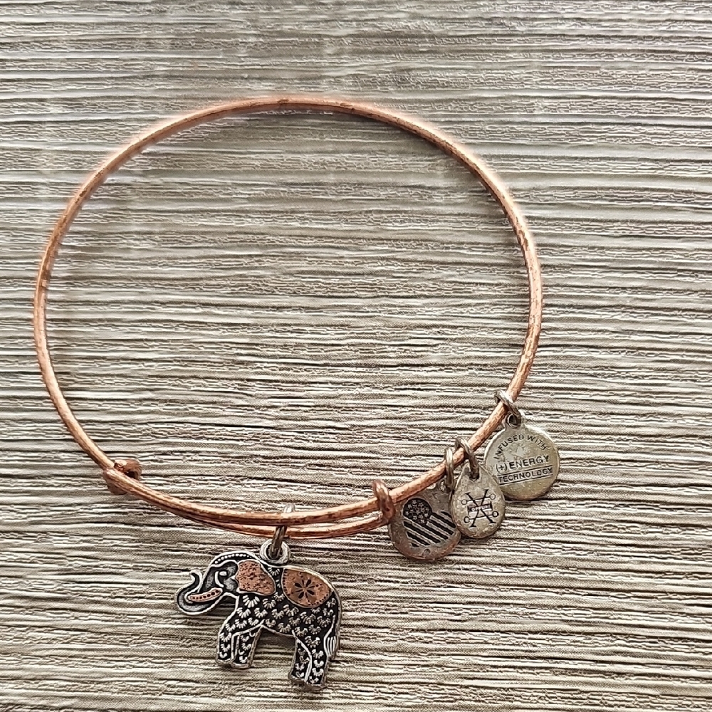 Alex and Ani Copper Elephant Charm Bangle